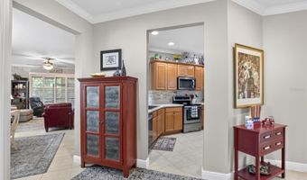 342 BLUEWATER FALLS Ct, Apollo Beach, FL 33572
