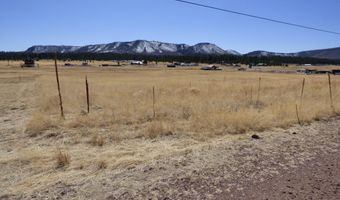 34 County Road 2100, Alpine, AZ 85920