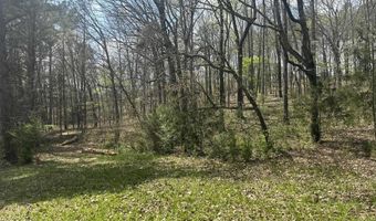 75 MARY LEE Ln, Alpine, AL 35014