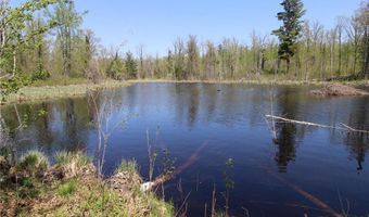 25343 Lens Rd, Aitkin, MN 56447