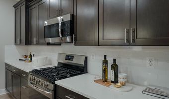 31018 NIKELLE Ln TH6, Frankford, DE 19945