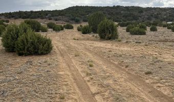 8206 TBD N8206, Concho, AZ 85924