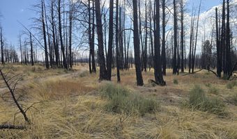 Valley Oak Lane, Bly, OR 97622