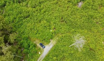 224 Arrau Rd, Andover, VT 05143
