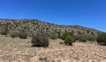 307 Off Of Old Deputy Shortline, Ash Fork, AZ 86320