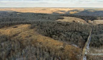 208 Cabin Rd, Ava, MO 65608