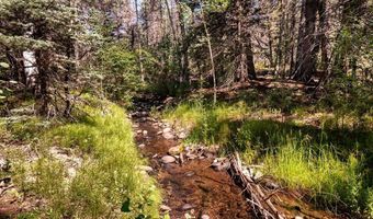 County Rd 46, Aguilar, CO 81020