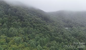 Killdevil Hill Lane unit 9 & 10 9 & 10, Bat Cave, NC 28792