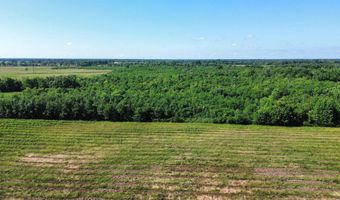 Pine Prairie Rd, Ashdown, AR 71822