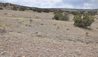 88 B County Road 5035, Concho, AZ 85924