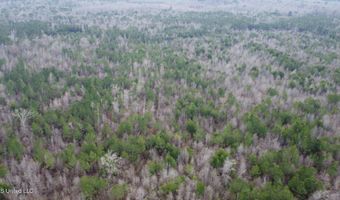 Saint John Road, Braxton, MS 39044