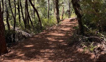 Agness-Illahe Rd, Agness, OR 97406