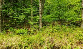 Camp Brook Road lot Map 30 Lot 67A, Alstead, NH 03602