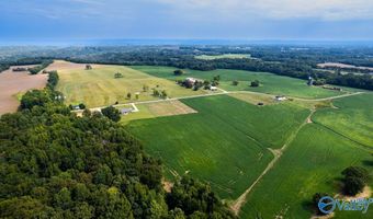 30 Acres Stevenson Rd, Ardmore, TN 38449