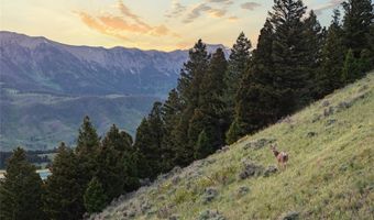 5730 Jackson Creek Rd, Bozeman, MT 59715