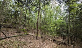 Stewart Road, Addison, NY 14801