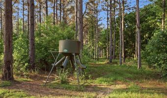 425 Rose Hill Rd, Bentonia, MS 39040