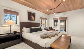 1271 Ute Ave, Aspen, CO 81611