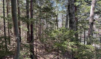 5-16 19 Boulder Dr, Campton, NH 03223