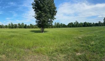 tbd 54.89 Acres N Hwy 53, Arkadelphia, AR 71923