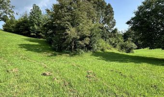 Tbd Rhonda's Way, Bean Station, TN 37708