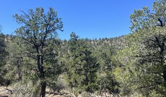 212 Arizona Rd, Ash Fork, AZ 86320
