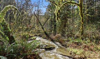 NW Green Mountain Rd 1, Banks, OR 97106