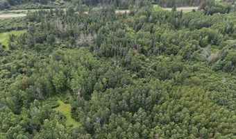 8800 Hwy 73, Angora, MN 55723