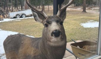 14884 Rist Canyon Rd, Bellvue, CO 80512