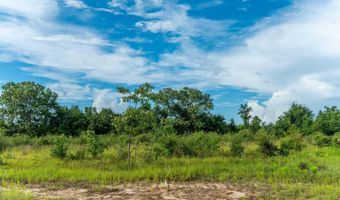 A-2 Long Branch Farms Road, Baker, FL 32531