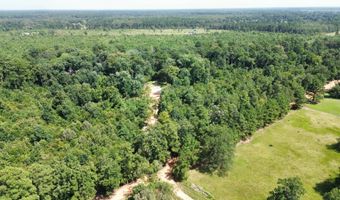 160 LR 717, Ashdown, AR 71822