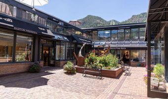 525 E Cooper Ave 205, Aspen, CO 81611