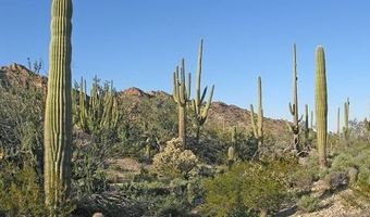 240 S Alley Rd, Ajo, AZ 85321