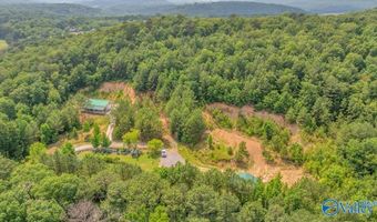 1228 Matt Morrow Rd, Arab, AL 35016
