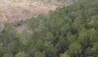 Tbd Highway 461, Ahoskie, NC 27910