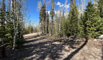 468 E Trail Rd, Brian Head, UT 84719