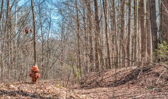 Lot 5 & 6 Lafon Road, Bath Springs, TN 38311