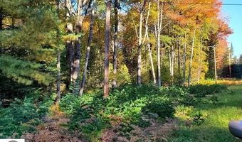 0 Scenic River Dr, Alger, MI 48610
