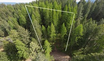 45 Landale Ln Lot 41, Cascade, ID 83611