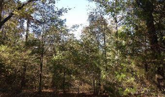 Tract 1 Land Off Meimerstorf Lane, Russellville, AR 72801