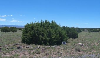 Tbd Windsor Valley Ranch Lot 87, Concho, AZ 85924