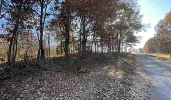 49 Acres County Road 56, Russellville, AL 35654