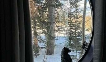 286 W Eagles Roost St #A-108, Brian Head, UT 84719