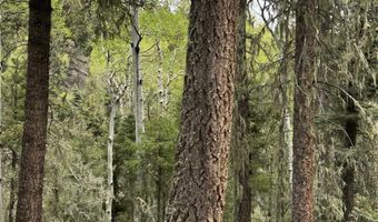 Lot 1419 Sacramento, Angel Fire, NM 87710