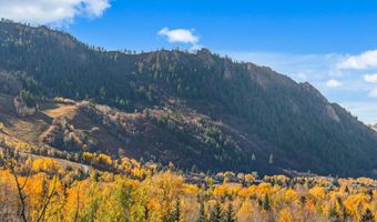 191 Skimming Ln, Aspen, CO 81611