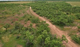 FM 600, Anson, TX 79501