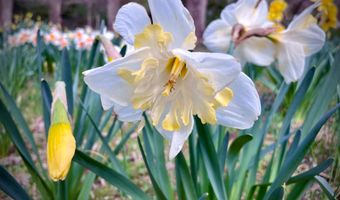 13801 MANOR Rd, Baldwin, MD 21013