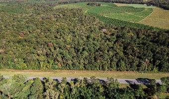 TBD State Rd 121, Alachua, FL 32615