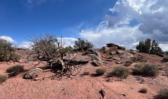 51 N9087, Concho, AZ 85924