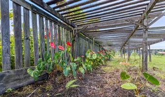 CHIN CHUCK RD, Hakalau, HI 96710